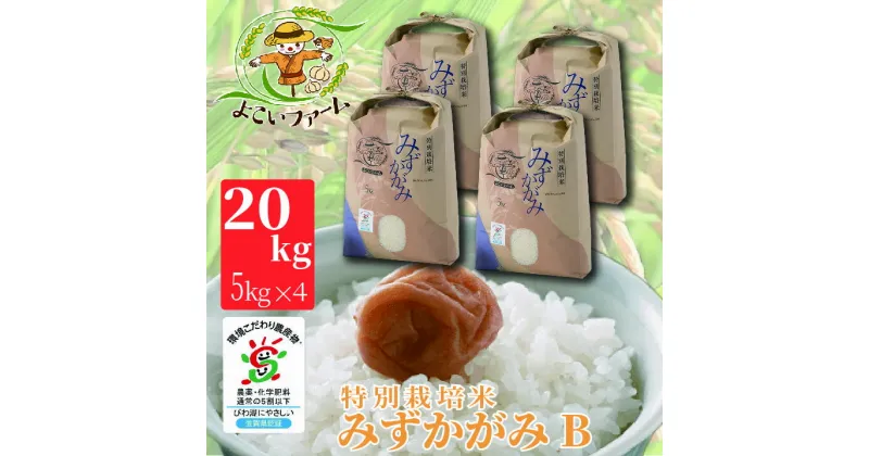 【ふるさと納税】【C-538】【令和6年産　新米】よこいファーム 特別栽培米みずかがみB 20kg（5kg×4）［高島屋選定品］※9月中旬以降順次、令和6年産新米をお届けいたします。