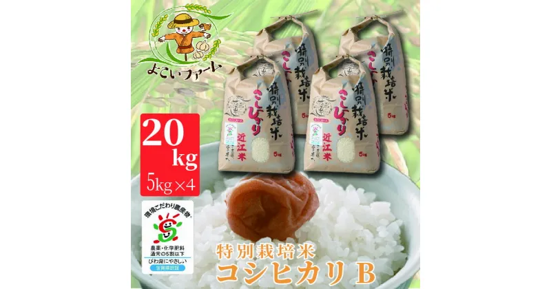 【ふるさと納税】【C-547】【令和6年産　新米】よこいファーム 特別栽培米コシヒカリB　20kg（5kg×4） ［高島屋選定品］※9月中旬以降順次、令和6年産新米をお届けいたします。