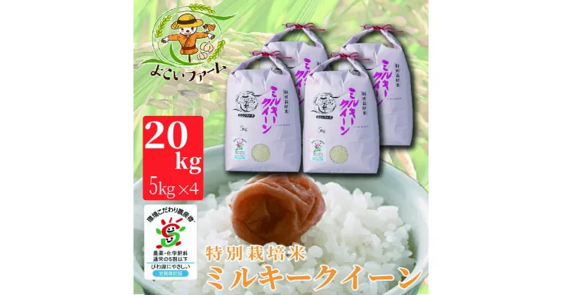 【ふるさと納税】【C-534】【令和6年産　新米】よこいファーム 特別栽培米ミルキークイーン　20kg（5kg×4） ［高島屋選定品］※9月中旬以降順次、令和6年産新米をお届けいたします。