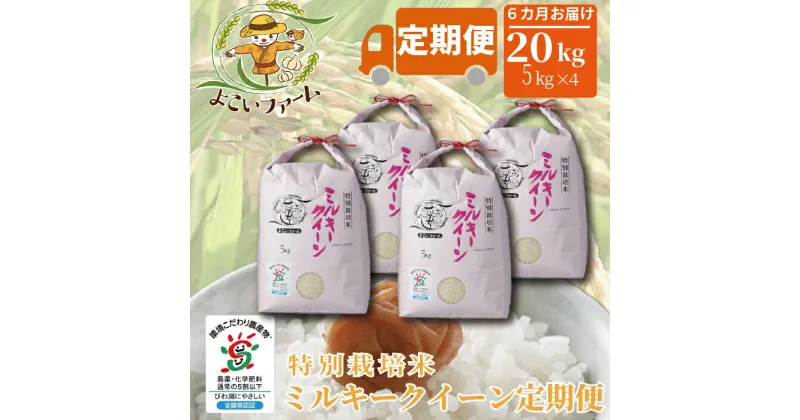 【ふるさと納税】【C-549】【令和6年産　新米】よこいファーム 特別栽培米ミルキークイーン20kgコース（定期便 20kgを 6回お届け）［高島屋選定品］