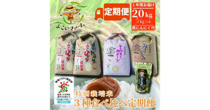 【ふるさと納税】【C-551】【令和6年産　新米】よこいファーム 特別栽培米3種食べ比べ　各回 計20kg（黒にんにく付）（定期便　20kgを12回お届け） ［高島屋選定品］