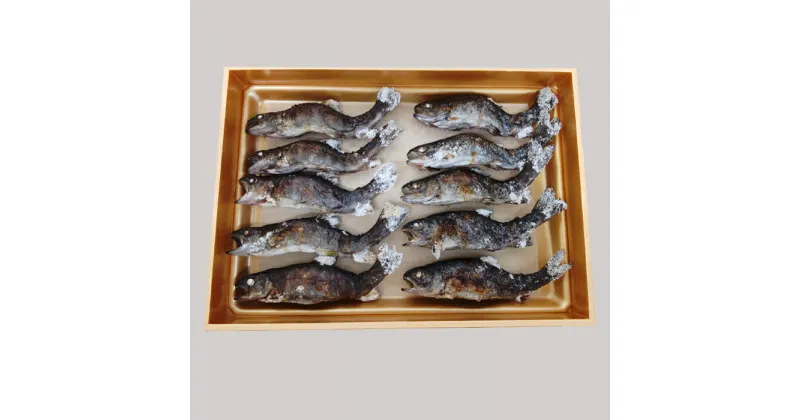 【ふるさと納税】【B-607】 井保水産 岩魚塩焼き10尾［高島屋選定品］