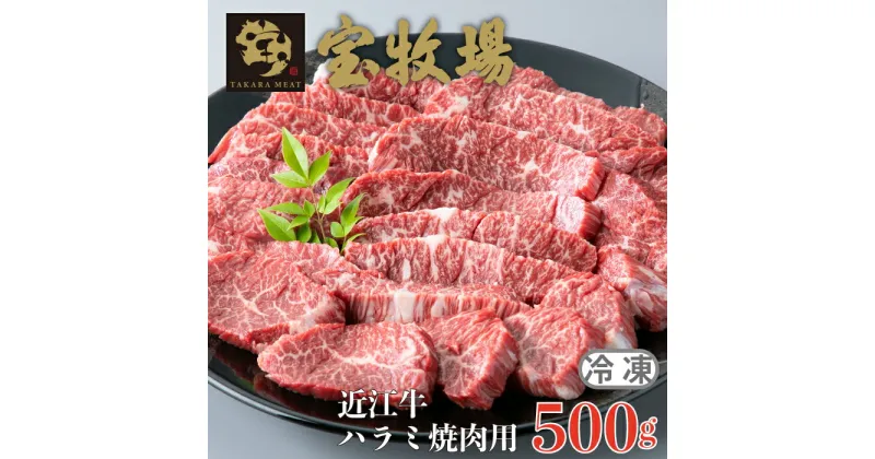 【ふるさと納税】【A-353】宝牧場 近江牛 ハラミ焼肉用 500g［高島屋選定品］