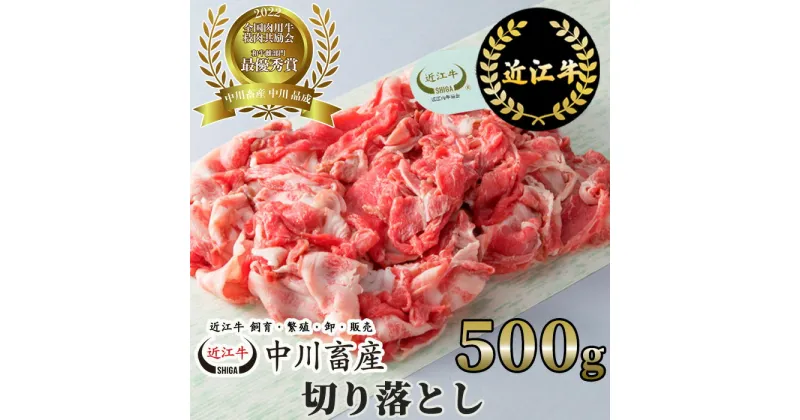 【ふるさと納税】 中川牧場 近江牛 切り落とし 500g 高島屋選定品 中川畜産 A-C08 令和4年度 全国肉用牛枝肉共励会 最優秀賞受賞 キャンプ アウトドア 贈り物 ギフト にも 国産 滋賀県 近江 神戸牛 松阪牛 に並ぶ 日本三大和牛 スーパーセール お買い物マラソン