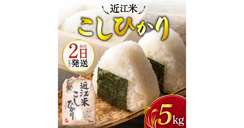 【ふるさと納税】 （令和6年産 新米） 滋賀県東近江市産近江米コシヒカリ5kg コシヒカリ こしひかり お米 白米 ご飯 一人暮らし 常温保存 備蓄 楽天 返礼品 寄付 お歳暮 お祝い 贈り物 故郷納税 滋賀県 東近江 近江 A-B21 あいとうマーガレットステーション