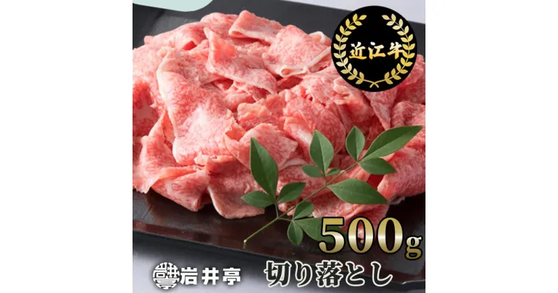 【ふるさと納税】岩井亭 近江牛 切り落とし 500g 高島屋選定品｜A-E16 キャンプ アウトドア 贈り物 ギフト にも 国産 滋賀県 近江 神戸牛 松阪牛 に並ぶ 日本三大和牛 スーパーセール お買い物マラソン