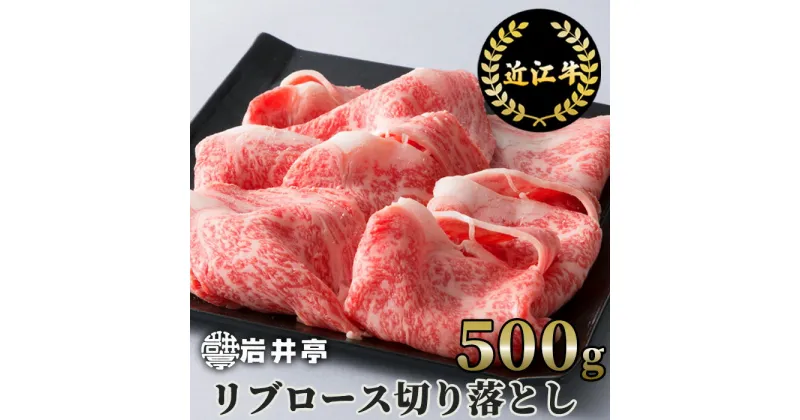 【ふるさと納税】岩井亭 近江牛 リブロース 切り落とし 500g 高島屋選定品｜B-H02