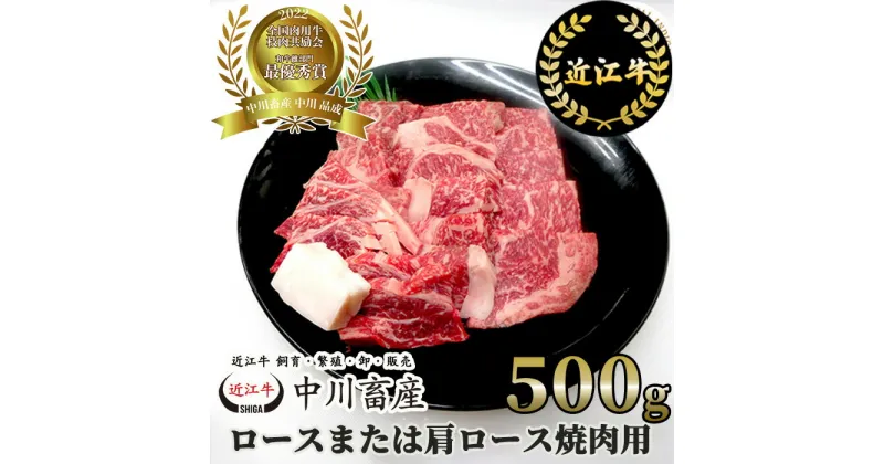 【ふるさと納税】 中川牧場 近江牛 ロース または 肩ロース 焼肉用 500g 高島屋選定品 令和4年度 全国肉用牛枝肉共励会 最優秀賞受賞 ブランド牛 牛肉 高級 人気 国産 楽天 寄付 返礼品 お歳暮 ギフト プレゼント お祝い 贈り物 ふるさと納税 C-E10 中川畜産