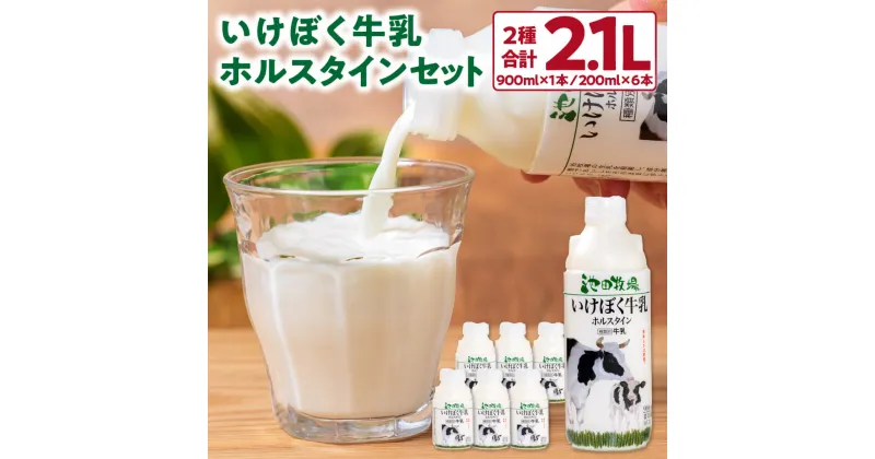 【ふるさと納税】 いけぼく牛乳ホルスタインセット 牛乳 ホルスタイン牛乳 楽天 寄付 返礼品 お歳暮 ギフト プレゼント お祝い 贈り物 ふるさと納税 滋賀県 東近江 近江 O-G01 有限会社池田牧場