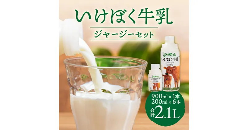 【ふるさと納税】 いけぼく牛乳ジャージーセット 牛乳 ジャージー牛乳 乳飲料 ジャージー ミルク 楽天 寄付 返礼品 お歳暮 ギフト プレゼント お祝い 贈り物 ふるさと納税 滋賀県 東近江 近江 O-G02 有限会社池田牧場