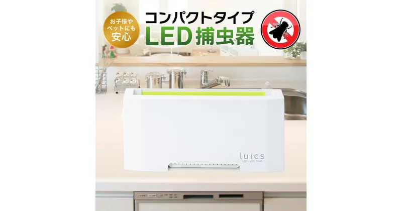 【ふるさと納税】 luics C LED・専用交換シート12枚入(蛍光) 2セット付 粘着シート 交換用 捕虫器 虫対策 防虫 楽天 寄付 返礼品 お歳暮 ギフト プレゼント お祝い 贈り物 ふるさと納税 滋賀県 東近江 近江 F-F02 株式会社SHIMADA