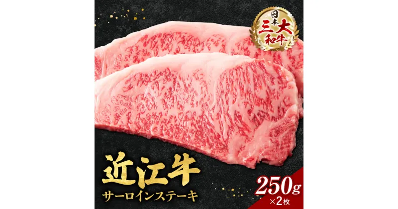 【ふるさと納税】 近江牛 サーロイン ステーキ 250g×2枚 （箱なしエコ包装） ブランド牛 牛肉 高級 人気 国産 楽天 寄付 返礼品 お歳暮 ギフト プレゼント お祝い 贈り物 ふるさと納税 近江 東近江 E-E05 いろは精肉店