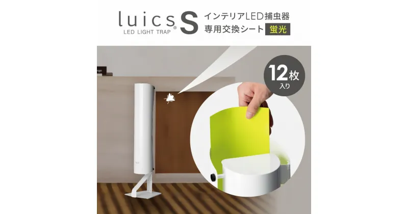 【ふるさと納税】 luics S 専用交換シート12枚入(蛍光) 粘着シート 交換用 捕虫器 虫対策 防虫 楽天 寄付 返礼品 お歳暮 ギフト プレゼント お祝い 贈り物 ふるさと納税 滋賀県 東近江 近江 A-G07 株式会社SHIMADA