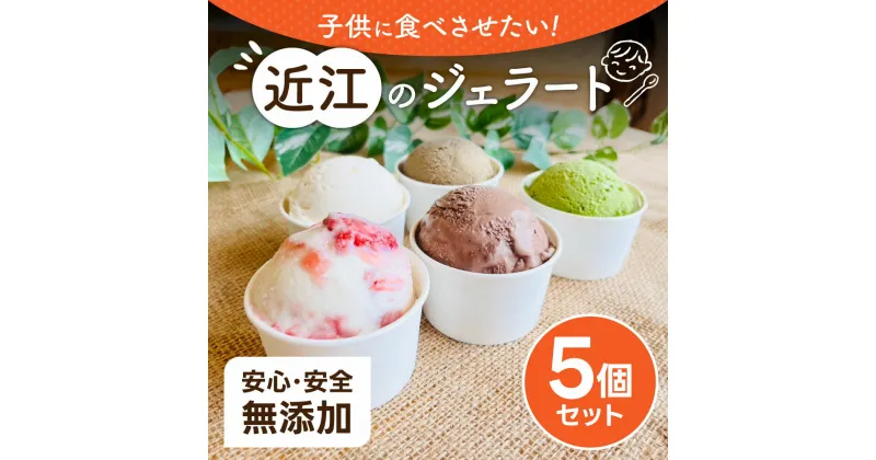 【ふるさと納税】 近江のジェラート （5個セット） ジェラート アイス デザート 楽天 返礼品 寄付 お歳暮 お祝い 贈り物 故郷納税 滋賀県 近江 東近江 O-E07 かなめカフェ