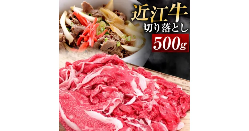 【ふるさと納税】 近江牛 切り落とし 500g ブランド牛 牛肉 高級 人気 国産 和牛 黒毛和牛 冷凍 牛肉 牛 ブランド 三大和牛 牛丼 カレー 惣菜 おかず 切落し 切り落し 贈り物 ギフト 神戸牛 松阪牛 に並ぶ 日本三大和牛 楽天 寄付 返礼品 お歳暮 近江 東近江 A-B16 安田牧場