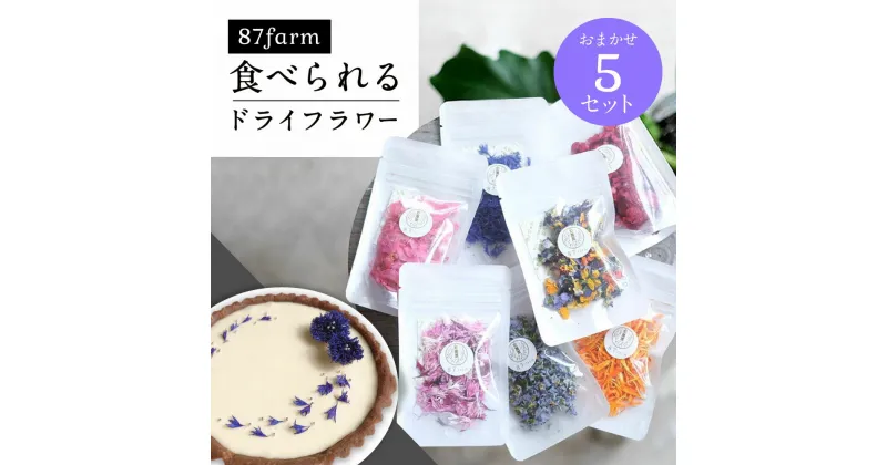 【ふるさと納税】食べられるドライフラワーおまかせ5点セット（ドライエディブルフラワー） 花 はな ハナ ドライフラワー どらいふらわー 食用 しょくよう 楽天 返礼品 寄付 お歳暮 ギフト プレゼント お祝い 贈り物 故郷納税 滋賀県 東近江市 近江　A-G13　87株式会社