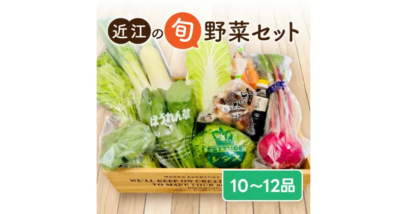 【ふるさと納税】季節の旬野菜セット 新鮮 野菜セット 詰め合わせ 国産 旬 お試し おまかせ お楽しみ A51 一般財団法人 愛の田園振興公社