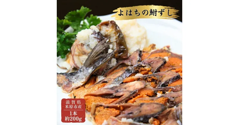 【ふるさと納税】よはちの「鮒ずし」　魚貝類・漬魚・川魚・お寿司・鮒ずし　お届け：12月以降順次発送