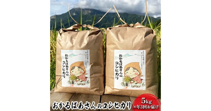 【ふるさと納税】【令和6年産新米予約受付】【5kg×3か月連続お届け】おかるばあさんのコシヒカリ　定期便・ お米 コシヒカリ 米 　お届け：2024年10月より順次発送