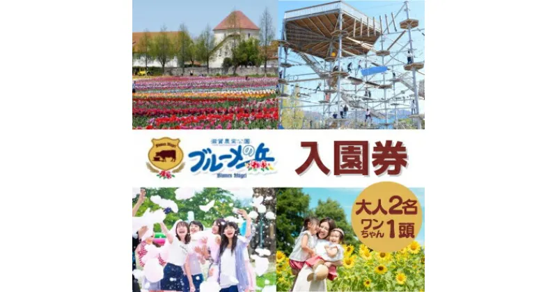 【ふるさと納税】滋賀農業公園 ブルーメの丘 大人2名（1名×2枚）・ワンちゃん1頭 入園券 [ アトラクション 動物 ふれあい ファミリー 家族 旅行 犬 ペット ]　 チケット 入場券 優待券 体験型 観光 農園 動物