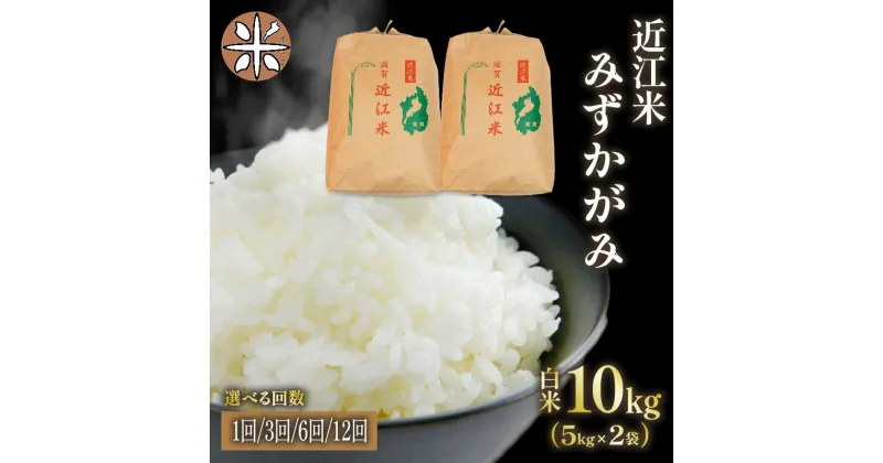 【ふるさと納税】 令和6年産 米 みずかがみ 10kg 選べる 【 定期便 】 単品 3ヶ月 6ヶ月 12ヶ月 白米 国産 農家直送 お米 こめ おこめ 農家直送 産地直送 滋賀県 竜王町 送料無料 1袋 2袋 滋賀県産 竜王 ふるさと ランキング 人気 おすすめ