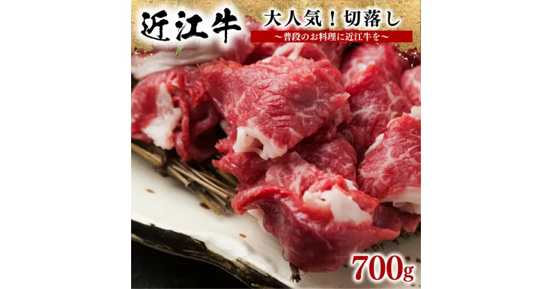 【ふるさと納税】 近江牛 切り落とし 700g 冷凍 ブランド 肉 近江牛 三大和牛 贈り物 ギフト プレゼント 滋賀県 竜王 岡喜