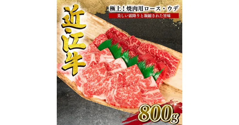 【ふるさと納税】 近江牛 特選 焼肉用 800g 冷凍 黒毛和牛 牛肉 焼肉 焼き肉 ロース ウデ 食べ比べ 霜降り 赤身 ブランド 三大和牛 贈り物 ギフト プレゼント 滋賀県 竜王 岡喜