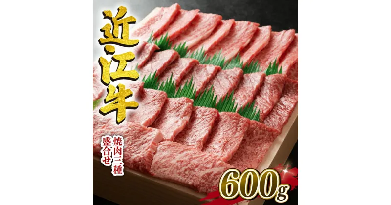 【ふるさと納税】 近江牛 牛肉 焼肉 三種 盛り合わせ 600g 霜降り 赤身 国産 ブランド牛 日本三大和牛 和牛 黒毛和牛 贈り物 ギフト 冷凍 滋賀県 竜王町 澤井牧場