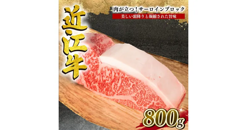 【ふるさと納税】 近江牛 サーロイン ブロック 800g 冷凍 黒毛和牛 牛肉 ステーキ ブランド 肉 近江牛 三大和牛 贈り物 ギフト プレゼント 滋賀県 竜王 岡喜