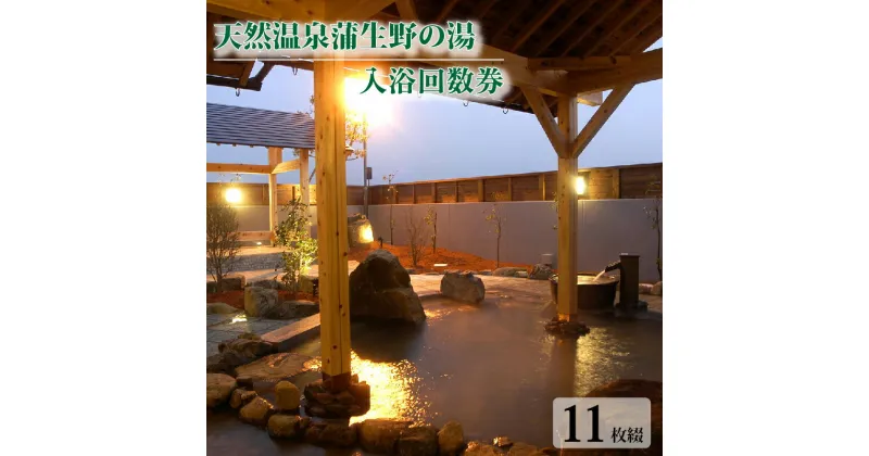 【ふるさと納税】 蒲生野の湯 入浴回数券 ( 11枚綴り ) チケット 温泉利用券 温泉 天然温泉 露天風呂 サウナ ジェットバス 電気風呂 滋賀県 竜王町 送料無料