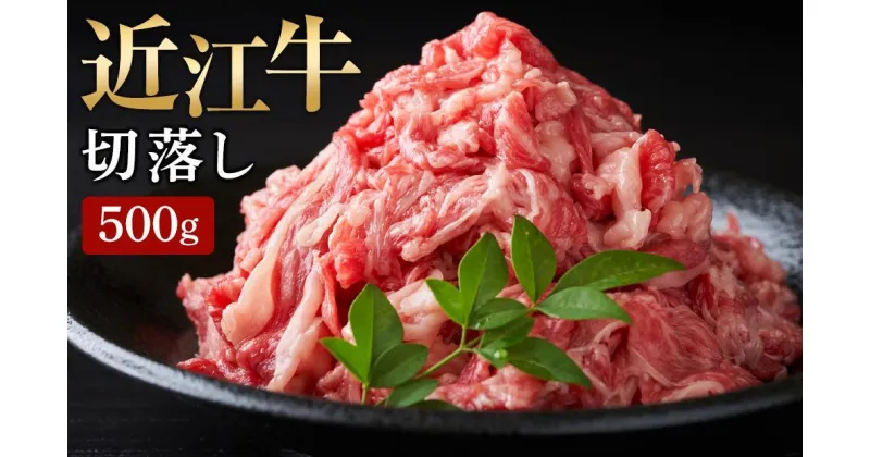 【ふるさと納税】 【月間限定10セット】【近江牛 切落し 500g】 肉 牛肉 ブランド牛 三大和牛 牛肉 黒毛和牛 冷凍 贈り物 ギフト プレゼント 滋賀県 竜王