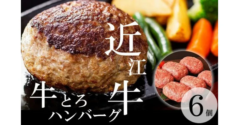 【ふるさと納税】 【近江牛 牛とろハンバーグ 150g 6個】ふるさと納税 冷凍 ハンバーグ ギフト お取り寄せ 贈答用 黒毛和牛 ブランド牛 三大和牛 和牛 冷凍食品 お弁当 おかず お惣菜 滋賀県 竜王 Kitchenパル