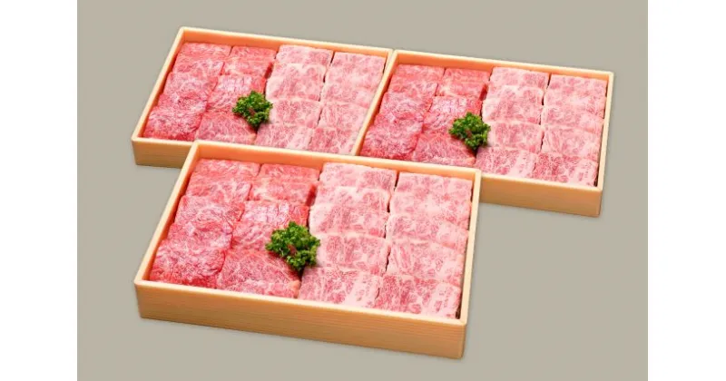 【ふるさと納税】 【近江牛 焼肉用セット(肩ロース・バラ 3kg)】 肉 牛肉 ブランド牛 三大和牛 和牛 黒毛和牛 国産 バーベキュー 贈り物 ギフト プレゼント 冷凍 滋賀県 竜王