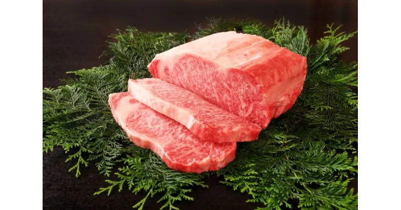 【ふるさと納税】 【近江牛 ステーキ用(サーロイン2枚)】 肉 牛肉 ステーキ ブランド牛 三大和牛 和牛 黒毛和牛 国産 バーベキュー 贈り物 ギフト プレゼント 冷凍 滋賀県 竜王