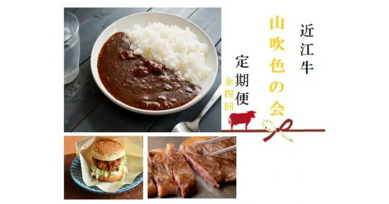 【ふるさと納税】 【近江牛 定期便【山吹色の会】全4回】 肉 牛肉 ブランド牛 三大和牛 和牛 黒毛和牛 贈り物 ギフト プレゼント 冷凍 滋賀県 竜王