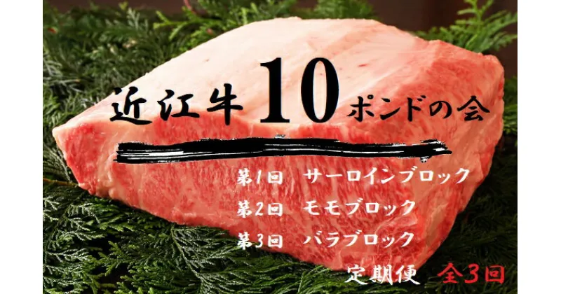 【ふるさと納税】 【近江牛 定期便【近江牛10ポンドの会】全3回】 肉 牛肉 ブランド牛 三大和牛 和牛 黒毛和牛 贈り物 ギフト プレゼント 冷凍 滋賀県 竜王