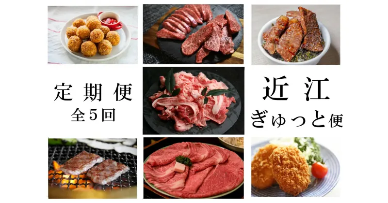 【ふるさと納税】 【近江牛 定期便【近江ぎゅっと便】全5回】 肉 牛肉 ブランド牛 三大和牛 和牛 黒毛和牛 バーベキュー 贈り物 ギフト プレゼント 冷凍 滋賀県 竜王