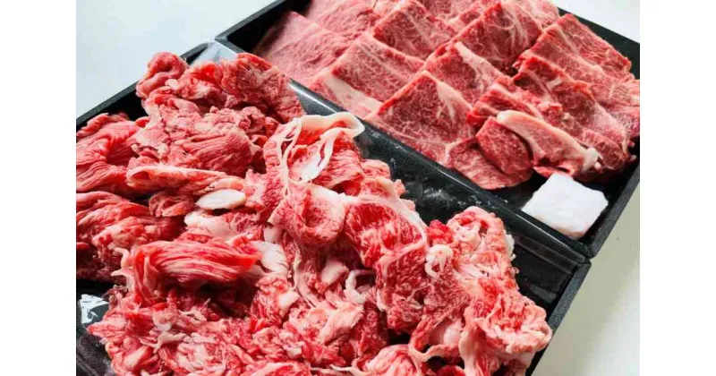 【ふるさと納税】 【近江牛 おうち焼肉と切落しセット 1kg】 肉 牛肉 ブランド牛 三大和牛 和牛 黒毛和牛 焼肉 バーベキュー お弁当 おかず お惣菜 贈り物 ギフト プレゼント 冷凍 滋賀県 竜王