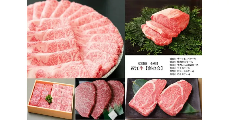 【ふるさと納税】 【近江牛定期便【彩の会】全6回】肉 牛肉 ステーキ サーロイン 肩ロース すき焼き モモ ブランド牛 三大和牛 和牛 黒毛和牛 冷凍 贈り物 ギフト プレゼント 滋賀県 竜王