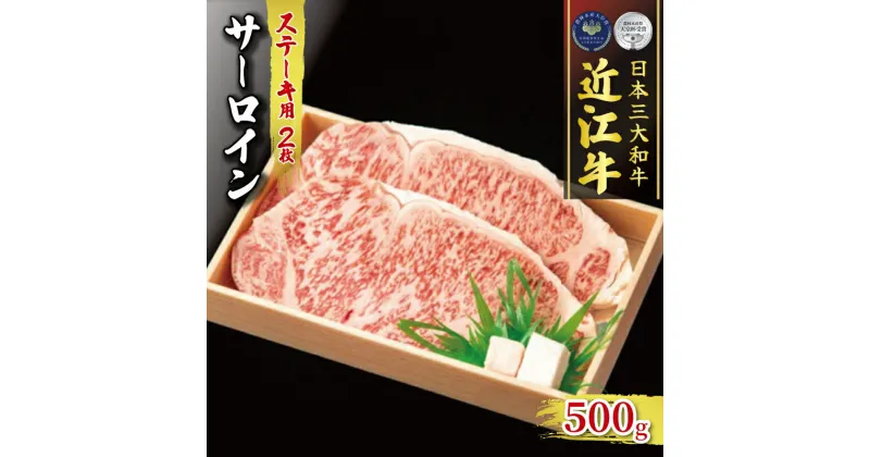 【ふるさと納税】 近江牛 サーロイン ステーキ 250g×2 冷凍 ( 計 500g 黒毛和牛 A4 A5 霜降り 和牛 牛肉 ブランド 肉 近江牛 三大和牛 贈答用 贈答 記念日 誕生日 贈り物 ギフト 受賞肉 滋賀県 竜王町 古株牧場 )