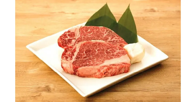 【ふるさと納税】 【近江牛 ステーキ用(ヒレ2枚)】 肉 牛肉 ブランド牛 三大和牛 和牛 黒毛和牛 国産 バーベキュー 贈り物 ギフト プレゼント 冷凍 滋賀県 竜王