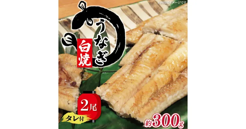 【ふるさと納税】 国産 うなぎ 白焼き 150g × 2尾 ( 冷凍 グルメ うなぎ 白焼 計300g 鰻 新鮮 たれ 土曜 丑の日 真空パック おすすめ 滋賀県 竜王町 送料無料 )