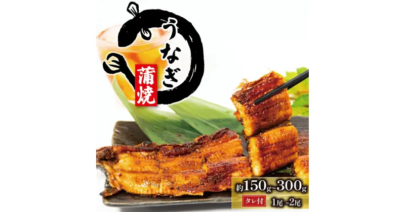 【ふるさと納税】 国産 うなぎ 蒲焼 1尾 ~ 2尾 150g ~ 300g ( 冷凍 グルメ うなぎ 鰻 新鮮 たれ 土曜 丑の日 真空パック おすすめ 滋賀県 竜王町 送料無料 )