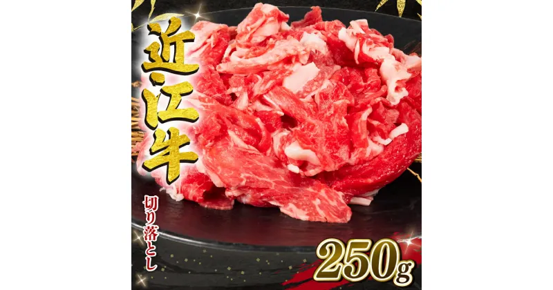 【ふるさと納税】 近江牛 切り落とし 250g 冷凍 黒毛和牛 和牛 冷凍 牛肉 牛 ブランド 三大和牛 牛丼 カレー 5000円 5000円以下 惣菜 おかず 切落し 切り落し 贈り物 ギフト 国産 神戸牛 松阪牛 に並ぶ 日本三大和牛 滋賀県 竜王町 岡喜 スーパーセール