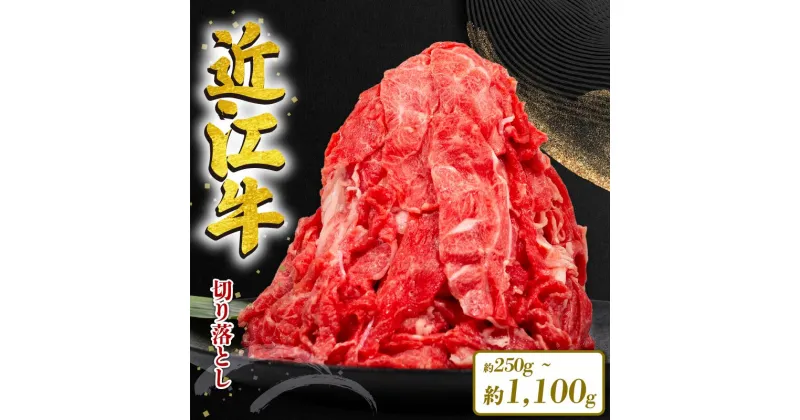 【ふるさと納税】 近江牛 切り落とし 1100g 550g 250g 定期便 550g 3ヶ月 6ヶ月 12ヶ月 1年 和牛 黒毛和牛 冷凍 牛肉 牛 ふるさと納税 ブランド 切落し 切り落し ギフト 国産 滋賀県 近江 竜王町 岡喜 神戸牛 松阪牛 に並ぶ 日本三大和牛 スーパーセール お買い物マラソン