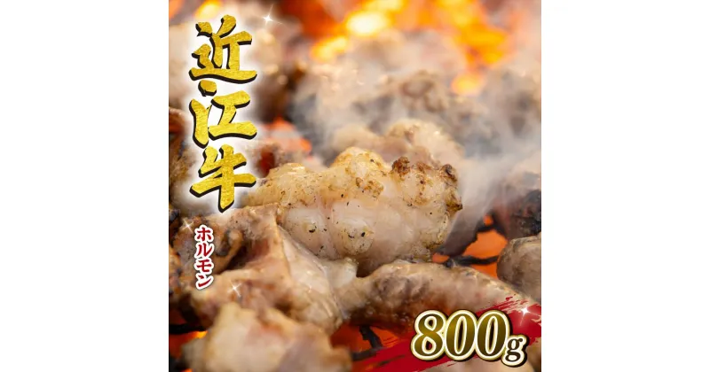 【ふるさと納税】 近江牛 ホルモン 焼肉 800g 冷凍 黒毛和牛 和牛 切落し 切り落とし 高級 小腸 マルチョウ 肉 焼き肉 セット もつ モツ鍋 新着 贈り物 ギフト 滋賀県 竜王町 岡喜 神戸牛 松阪牛 に並ぶ 日本三大和牛 10000円 スーパーセール お買い物マラソン