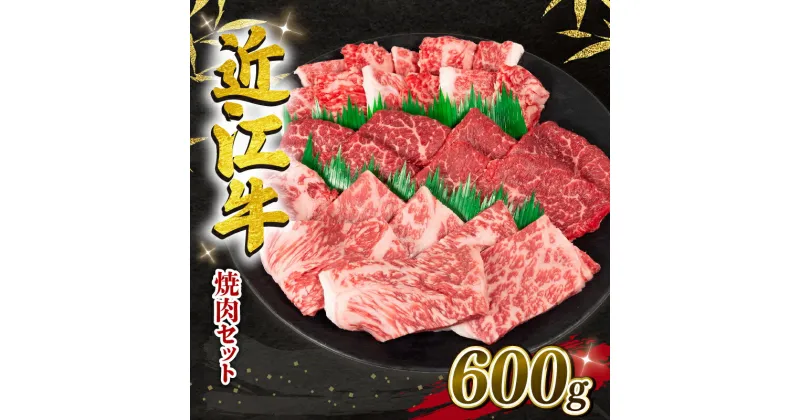 【ふるさと納税】 近江牛 焼肉 セット 600g 冷凍 黒毛和牛 和牛 牛肉 ブランド 三大和牛 焼き肉 ロース 赤身 カルビ 贈り物 ギフト 滋賀県 竜王町 岡喜