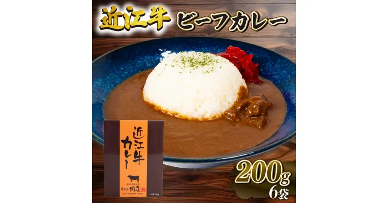 【ふるさと納税】 近江牛 ビーフカレー 200g×6 1200g ブランド 肉 近江牛 三大和牛 カレー 贈り物 ギフト 滋賀県 竜王町 岡喜