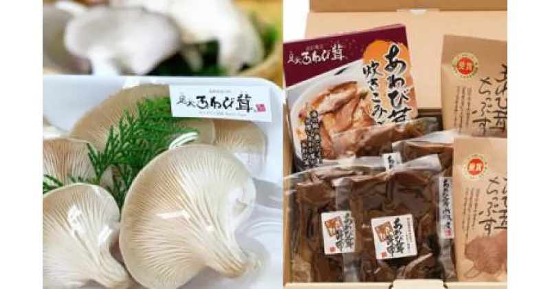 【ふるさと納税】 足太 あわび茸 炊き込みご飯の素 佃煮 2種 山椒煮 昆布煮 チップス あわび茸 プレミアムセット あわびたけ あわびだけ 国産 滋賀県 竜王町 送料無料 贈り物 ギフト プレゼント おかず おつまみ おやつ