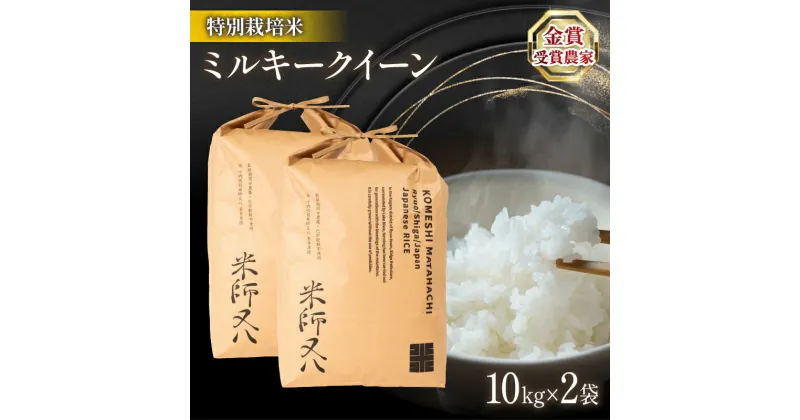 【ふるさと納税】 令和6年産 新米 ミルキークイーン 10kg × 2袋 ( 計 20kg ブランド 米 rice 精米 白米 ご飯 内祝い 十六代目米師又八 謹製 もちもち 国産 送料無料 滋賀県 竜王町 ふるさと納税 )